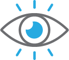 Vision