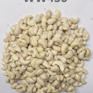 WW450 - Ảnh 1
