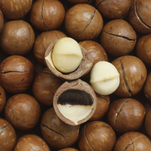 Macadamia Nuts