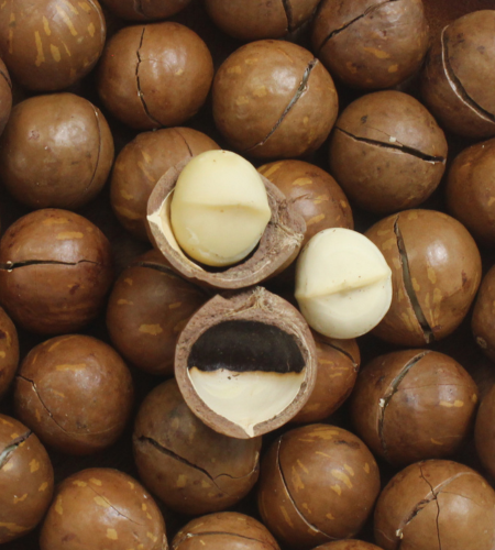 Macadamia Nuts